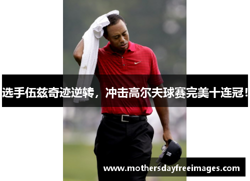 选手伍兹奇迹逆转，冲击高尔夫球赛完美十连冠！