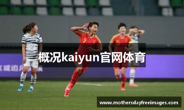 概况kaiyun官网体育